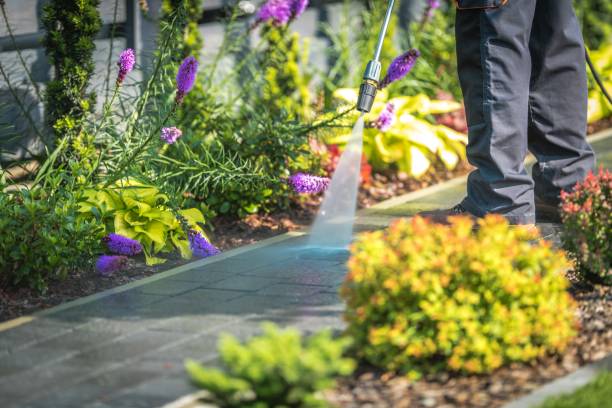 Best Parking Lot and Garage Cleaning  in Ocean City, MD