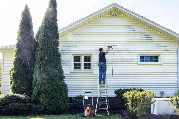 Best Roof Washing  in Ocean City, MD